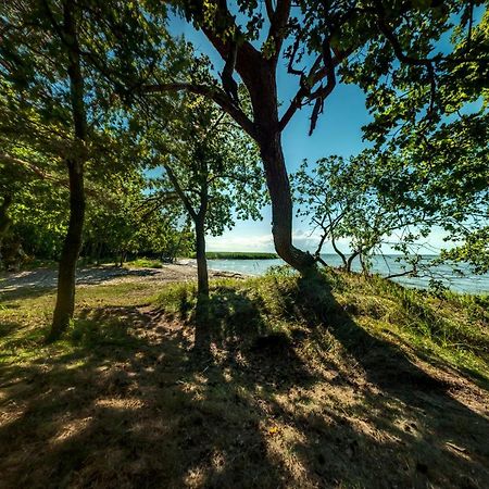 Traumhaff Kuestenchalets - Einzigartige Chalets An Der Ostsee. Ganz Aus Laerchenholz Mit Kamin Und Sauna Vogelsang-Warsin Dış mekan fotoğraf