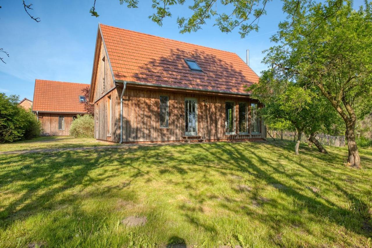 Traumhaff Kuestenchalets - Einzigartige Chalets An Der Ostsee. Ganz Aus Laerchenholz Mit Kamin Und Sauna Vogelsang-Warsin Dış mekan fotoğraf