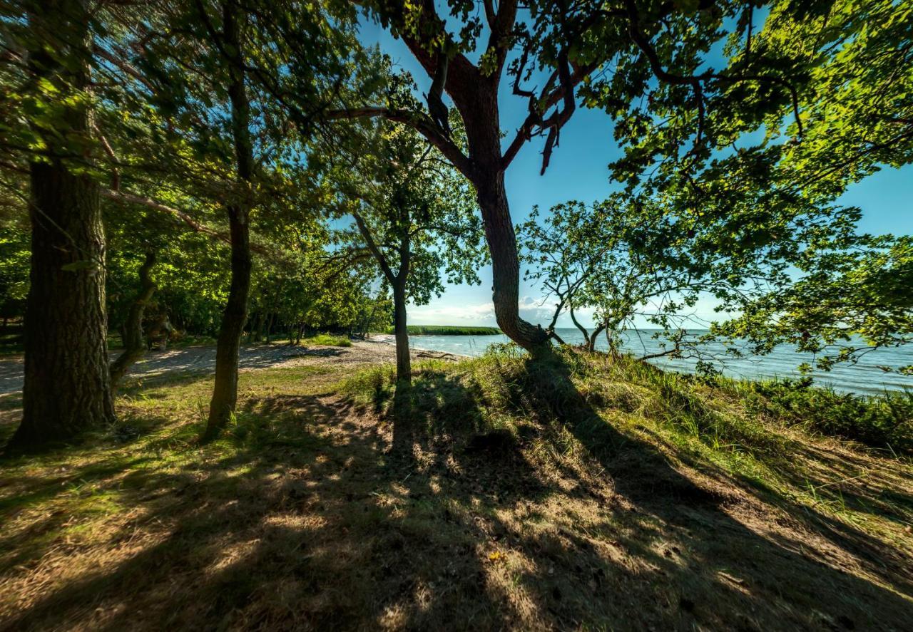 Traumhaff Kuestenchalets - Einzigartige Chalets An Der Ostsee. Ganz Aus Laerchenholz Mit Kamin Und Sauna Vogelsang-Warsin Dış mekan fotoğraf